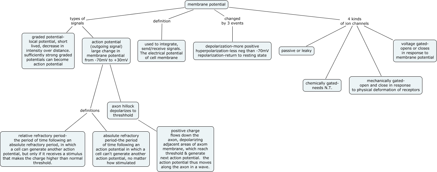 Complete the Concept Map to Describe Graded Potentials